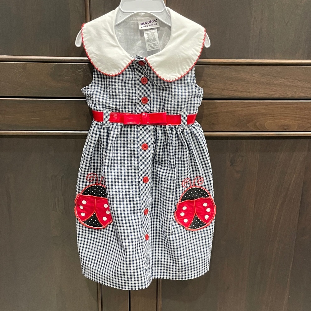 Blueberi Boulevard Gingham Dress with Red Ladybug Pockets